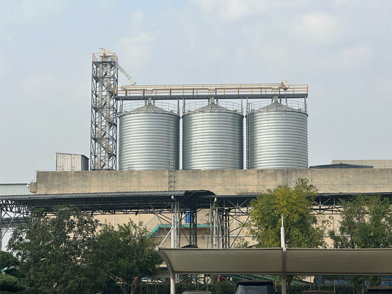 创新创造，共创未来 | 华体会体育客服热线
仓储承建的宝隆米业二期3000吨稻谷筒仓项目正式投产